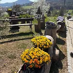 Uriges Mit Blick Auf *