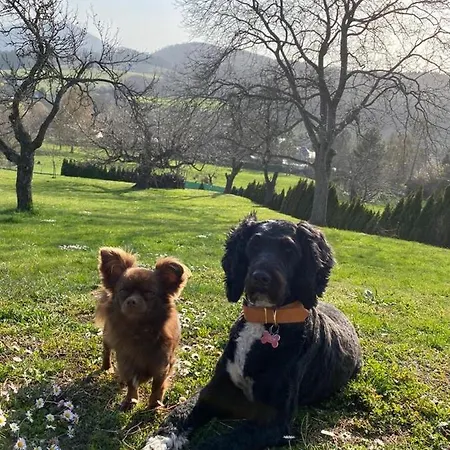 Uriges Mit Blick Auf Apartamento
