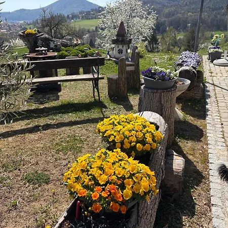 Uriges Mit Blick Auf *