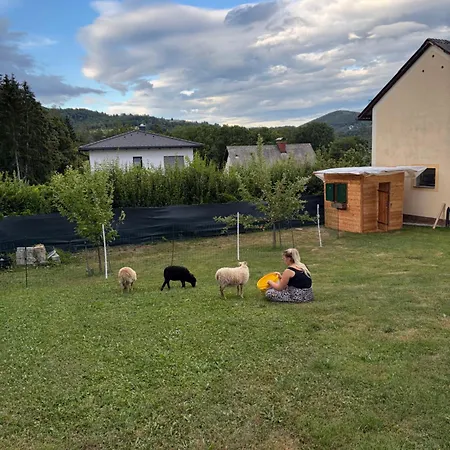 Uriges Mit Blick Auf *