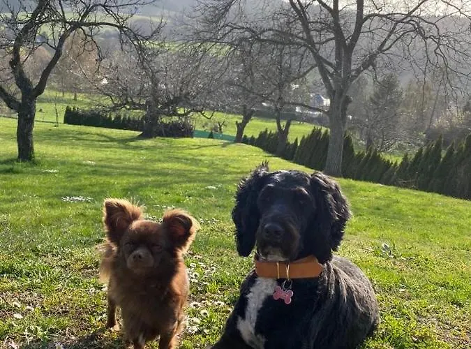 Uriges Mit Blick Auf Appartement
