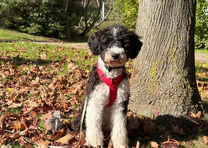 Uriges Mit Blick Auf